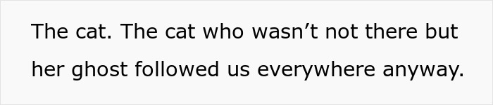 Text excerpt about a cat and its ghost presence, reflecting themes of crazy cat lady and K-Drama romance.