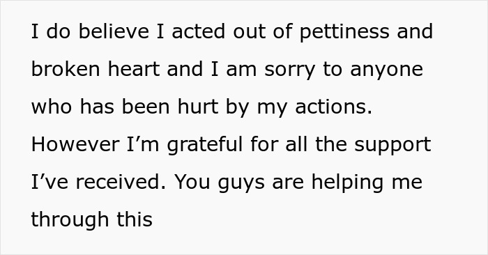 Text message apology expressing regret and gratitude for support after discovering husband&rsquo;s affair and seeking revenge.