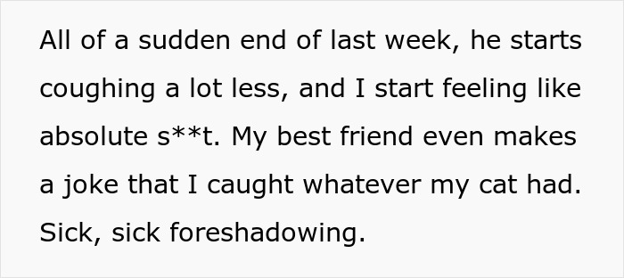 Text about a woman bringing home a senior cat and dealing with tapeworms and resulting expensive regret.