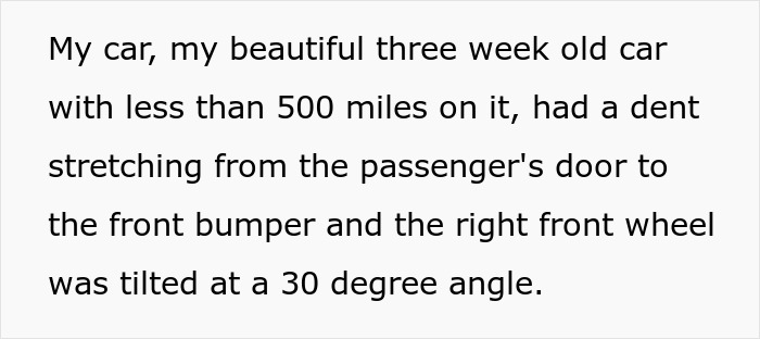 Entitled woman damages guy's car with dent and wheel angle, then ignores him, leading to her bruised kids taken away.