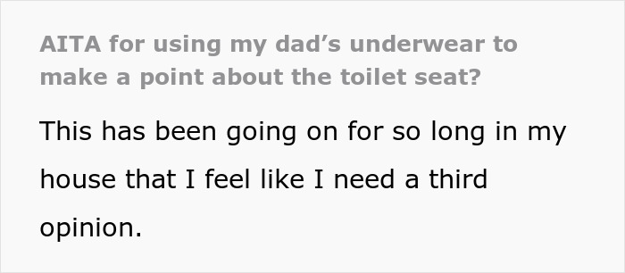 Text from a Reddit post: "AITA for using my dad's underwear to make a point about the toilet seat? Gross dad wets toilet seat."