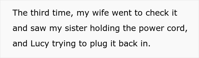 Text excerpt showing a wife noticing her sister holding a power cord while trying to plug it back in.