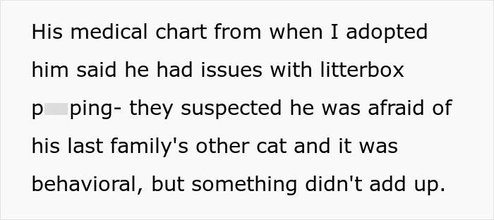 Medical chart of a senior cat revealing litterbox issues and behavioral concerns after adoption by woman bringing home cute pet.