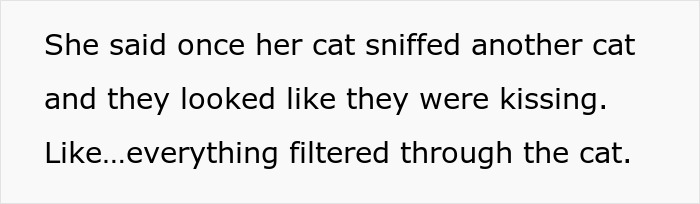 Text image with a quote about a cat sniffing another cat, reflecting on crazy cat lady and K-Drama romance.