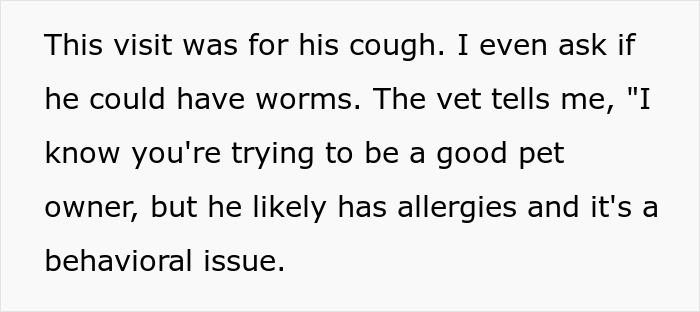 Text from a woman explaining a vet visit for her senior cat&rsquo;s cough, discussing possible worms and allergies.