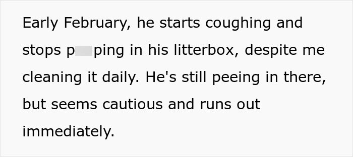 Text excerpt describing a senior cat coughing and showing cautious behavior after being brought home.