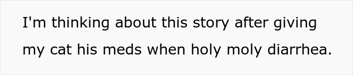 Text on a white background reads I'm thinking about this story after giving my cat his meds when holy moly diarrhea.