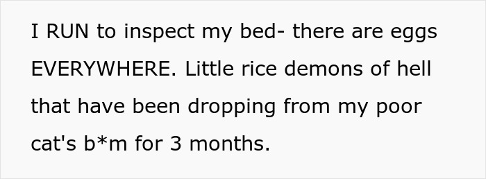 Text describing discovery of tapeworm eggs from senior cat causing surprise and regret for the woman.