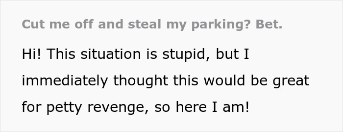 Woman traps car that took her parking spot and enjoys watching entitled guests deal with the situation.