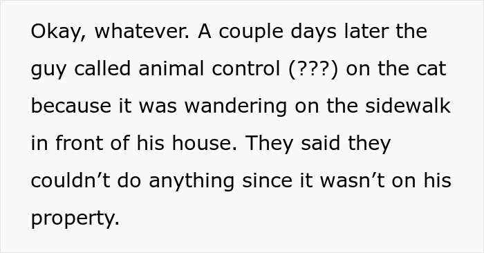Text excerpt about a guy calling animal control over a cat wandering near his house on the sidewalk.