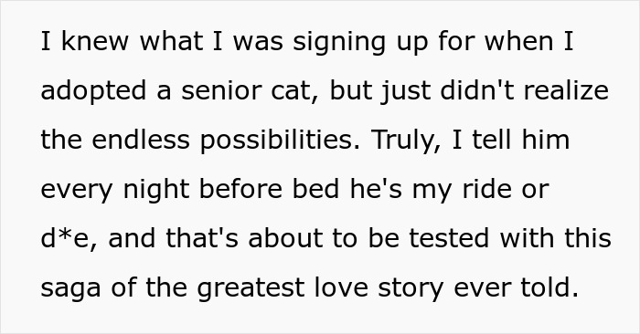 Woman brings home senior cat and faces costly regret after accidentally getting matching tapeworms with her pet.