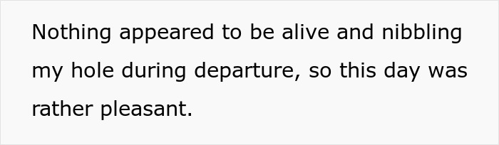 Woman brings home cute senior cat, unexpectedly faces matching tapeworms and costly regret at veterinary clinic.
