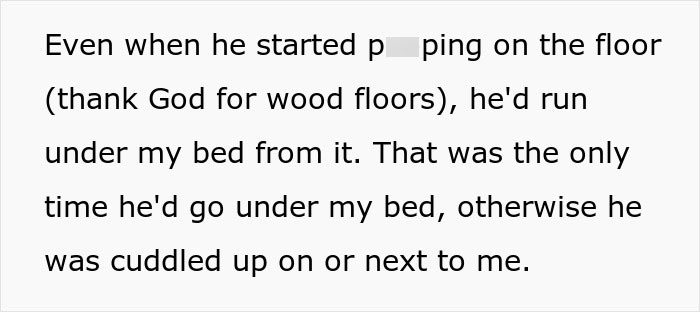 Text excerpt about a woman&rsquo;s experience with a senior cat and the unexpected issue of tapeworms and regret.