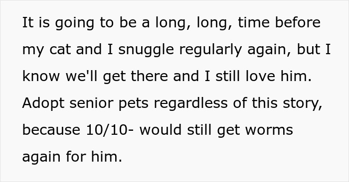 Text discussing a woman adopting a senior cat and dealing with matching tapeworms and the challenges that follow.