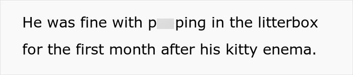Text excerpt about a senior cat using a litterbox after a kitty enema, relating to a woman bringing home a cute senior cat.