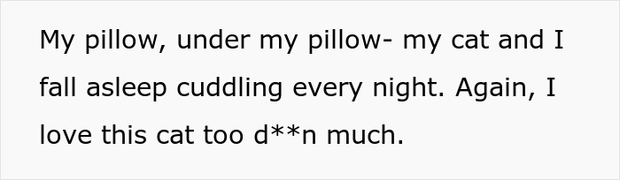 Woman cuddling with cute senior cat on pillow, highlighting bond and unexpected health challenges with tapeworms.