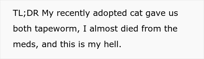 Text on white background stating a woman&rsquo;s story about adopting a senior cat and both getting tapeworms causing expensive regret.
