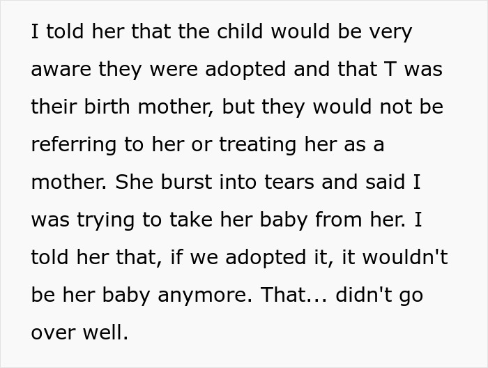 Texto sobre mulher querendo que seu bebê fosse adotado pelo irmão, com tensão da cunhada pelo papel de maternidade.