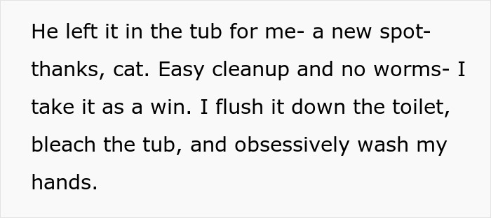 Text describing a woman&rsquo;s experience with a senior cat, tapeworms, and the challenges of cleanup and hygiene.