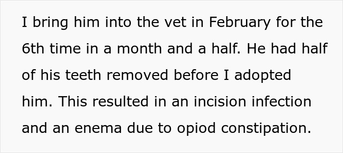 Woman brings home cute senior cat facing vet visits after tapeworm infection and costly medical treatments.