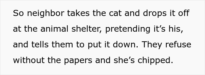 Text describing a rude neighbor dropping a cat at an animal shelter without papers, causing conflict.