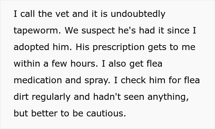 Text about vet confirming tapeworm in senior cat after adoption, with prescriptions and flea treatment precautions.