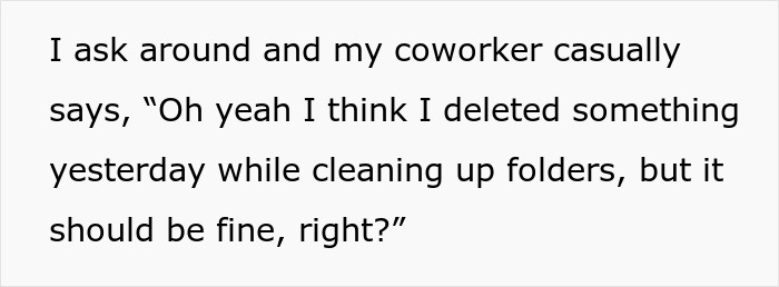 Text excerpt showing a coworker admitting to deleting a project file while cleaning up folders, impacting work progress.