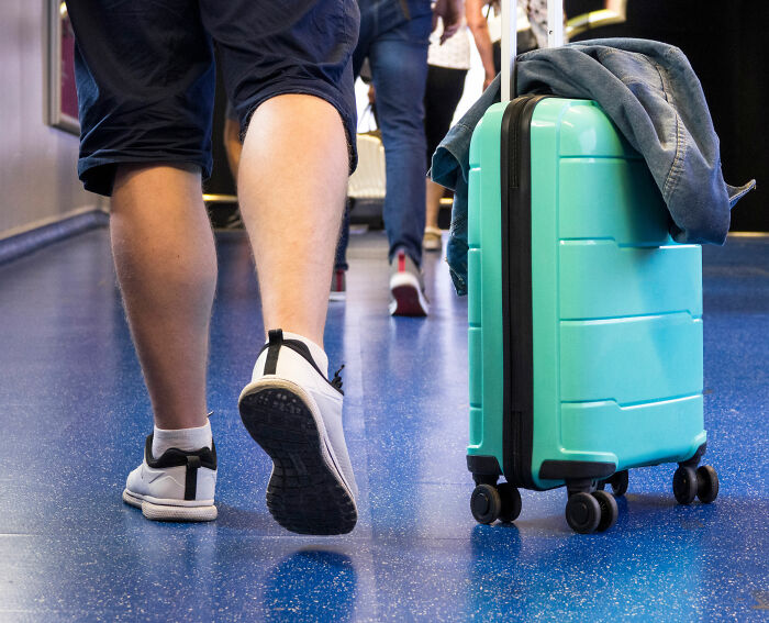 K-9 Beagle da alfândega dos EUA se torna uma sensação viral depois de pegar um passageiro com 100 sanduíches