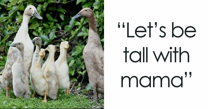 95 Of The Funniest Tumblr Posts That Totally Deserve To Be Seen Again