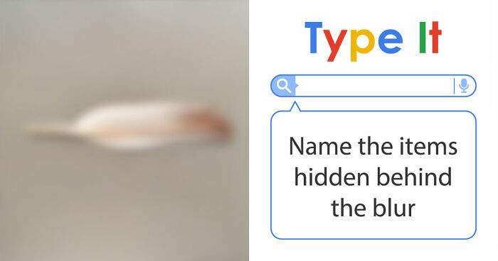 “Can You Even Trust Your Eyes?”: Test Your Recognition Skills With 29 Blurred-Out Objects