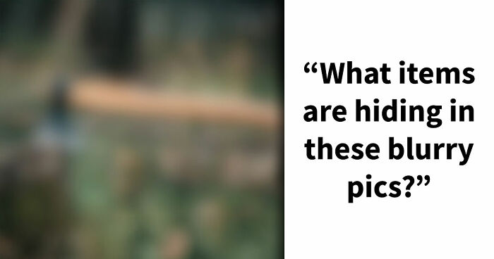 “Can You Even Trust Your Eyes?”: Test Your Recognition Skills With 29 Blurred-Out Objects