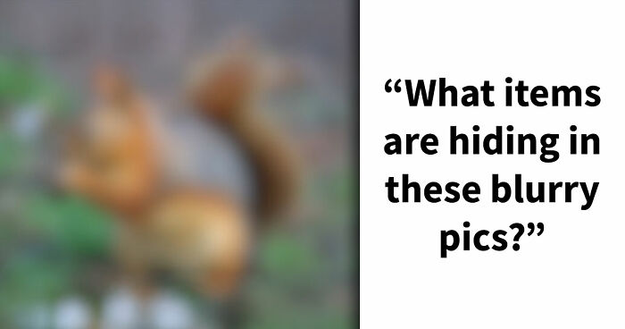 “Can You Even Trust Your Eyes?”: Test Your Recognition Skills With 29 Blurred-Out Objects