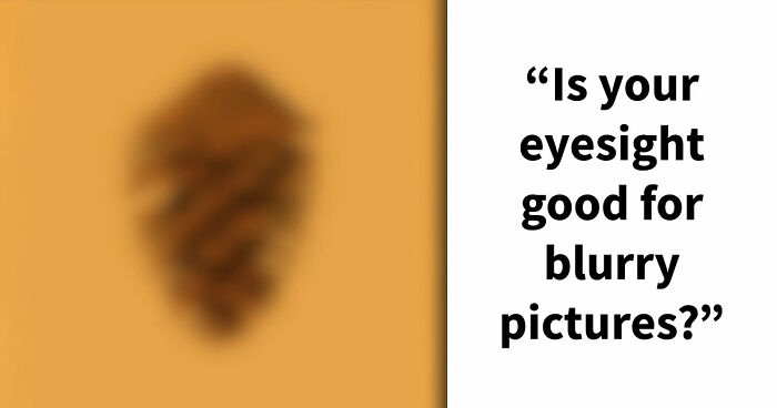 “Can You Even Trust Your Eyes?”: Test Your Recognition Skills With 29 Blurred-Out Objects