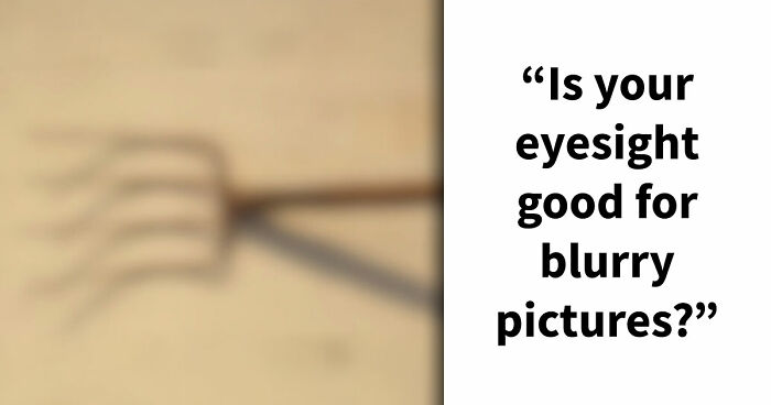 “Can You Even Trust Your Eyes?”: Test Your Recognition Skills With 29 Blurred-Out Objects