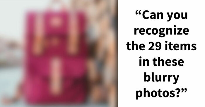 “Can You Even Trust Your Eyes?”: Test Your Recognition Skills With 29 Blurred-Out Objects