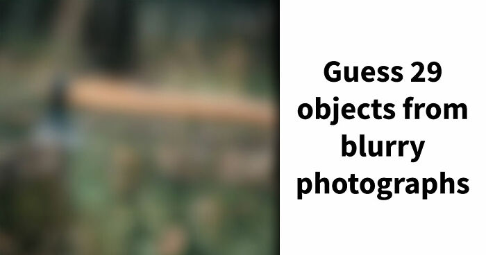 “Can You Even Trust Your Eyes?”: Test Your Recognition Skills With 29 Blurred-Out Objects