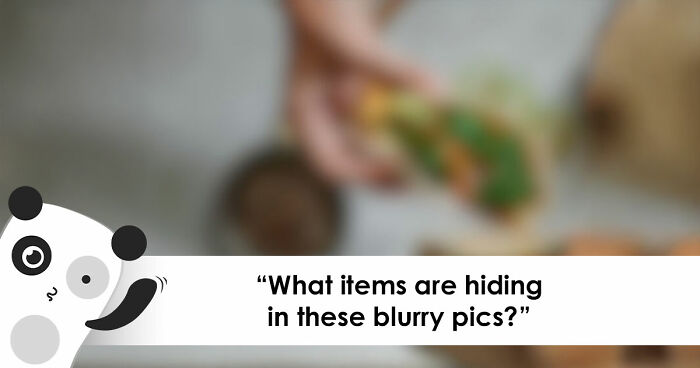 “Can You Even Trust Your Eyes?”: Test Your Recognition Skills With 29 Blurred-Out Objects