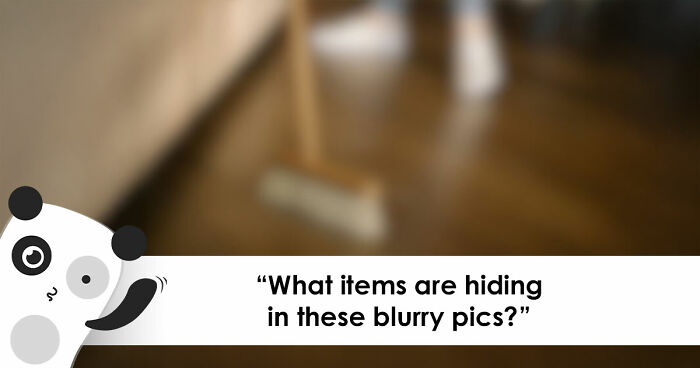 “Can You Even Trust Your Eyes?”: Test Your Recognition Skills With 29 Blurred-Out Objects