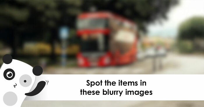 “Can You Even Trust Your Eyes?”: Test Your Recognition Skills With 29 Blurred-Out Objects