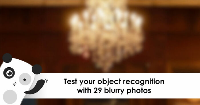 “Can You Even Trust Your Eyes?”: Test Your Recognition Skills With 29 Blurred-Out Objects