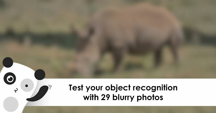 “Can You Even Trust Your Eyes?”: Test Your Recognition Skills With 29 Blurred-Out Objects