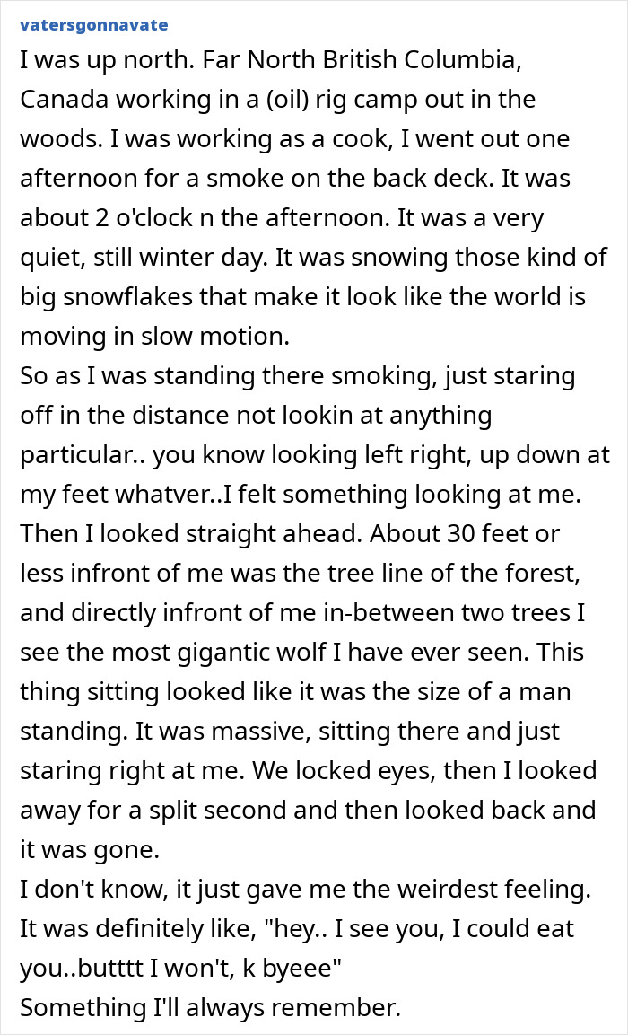 A firsthand account of someone exploring creepy remote areas and spotting a gigantic wolf, recounting their immediate regret and chilling encounter.