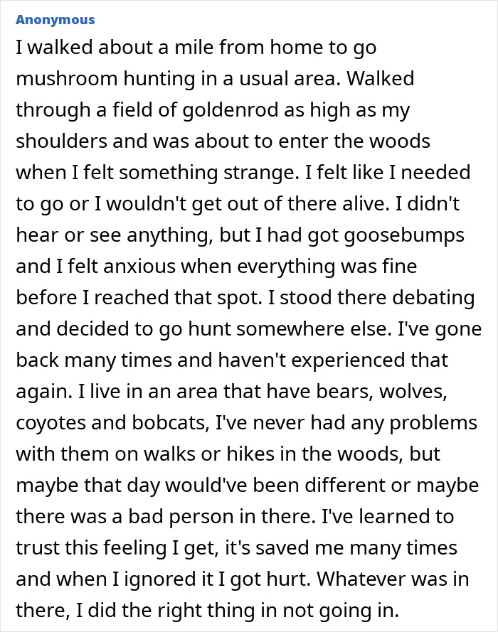 Creepy-Remote-Areas-Stories
