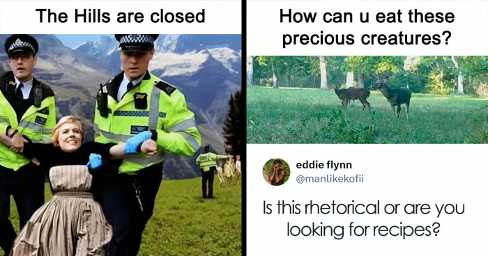 110 Camping And Hiking Memes To Help You Get In Touch With Nature
