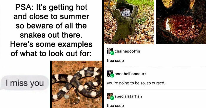 110 Camping And Hiking Memes To Help You Get In Touch With Nature