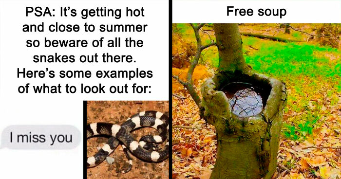 110 Camping And Hiking Memes To Help You Get In Touch With Nature