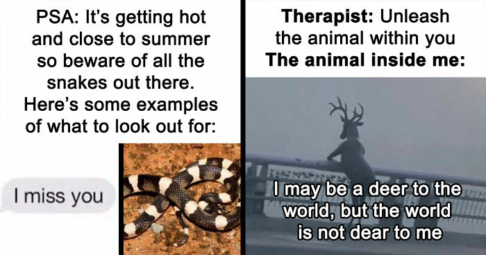 110 Camping And Hiking Memes To Help You Get In Touch With Nature