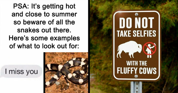 110 Camping And Hiking Memes To Help You Get In Touch With Nature