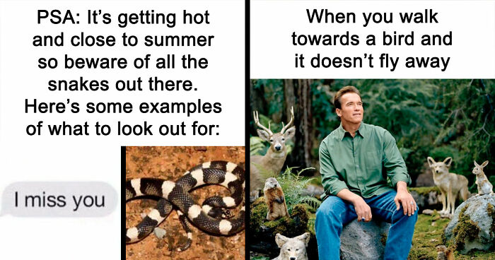 110 Camping And Hiking Memes To Help You Get In Touch With Nature