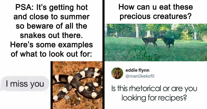 110 Camping And Hiking Memes To Help You Get In Touch With Nature